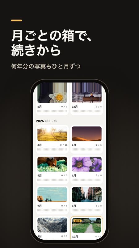 Roll Sorter 2